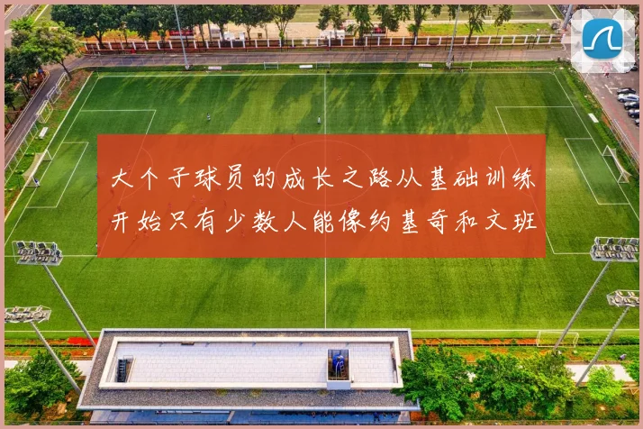 大个子球员的成长之路从基础训练开始只有少数人能像约基奇和文班那样成功