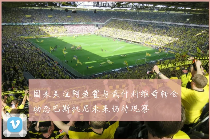 国米关注阿劳霍与武什科维奇转会动态巴斯托尼未来仍待观察
